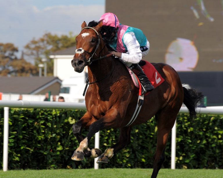 The most expensive horses in the world in 2019 Hayzed Magazine