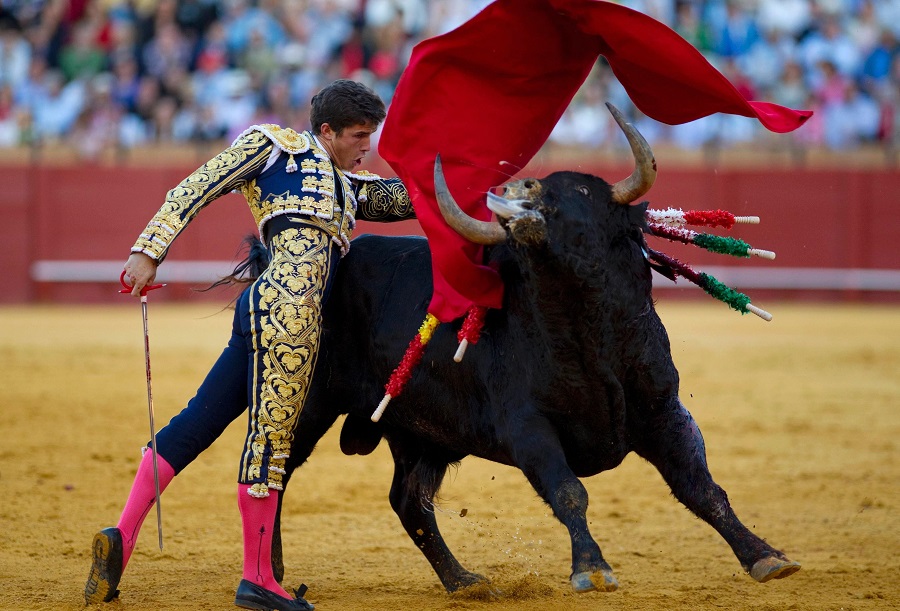 bullfighting festival
