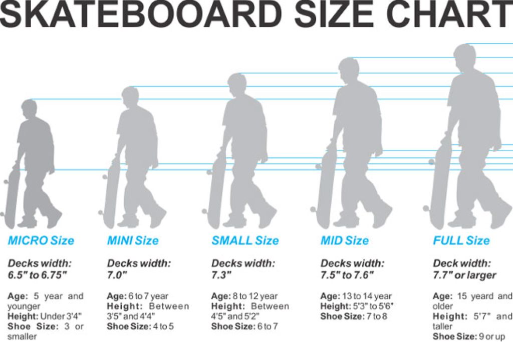 Skateboard Basics: A Quick Rundown