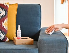 How to Clean Fabric Sofa Naturally