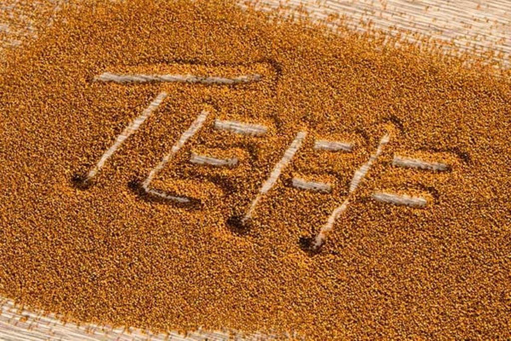 The Versatile World of Teff: An Ancient Grain Explained - Hayzed Magazine