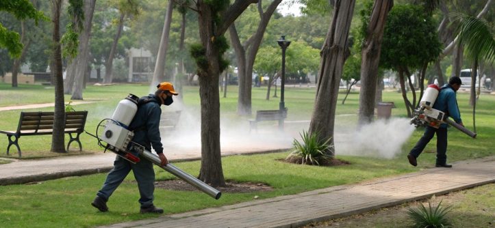 How to optimize mosquito control strategies using expert lessons and future plans. Discover effective DIY tips, professional methods, and new pest tech for 2026.