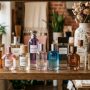 A collection of elegant perfume bottles displayed on a wooden shelf representing affordable luxury fragrance options