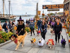 Costumed pets parading along Derby Wharf at Salem Howl-o-ween Pet Parade 2026