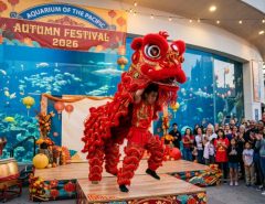Lion dancer in bright red costume performing at the Aquarium of the Pacific Autumn Festival 2026 in Long Beach