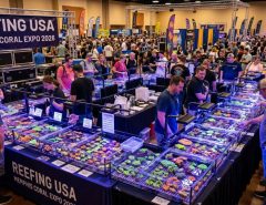 Colorful SPS and LPS corals displayed on vendor tables at Reefing USA Memphis Coral Expo 2026
